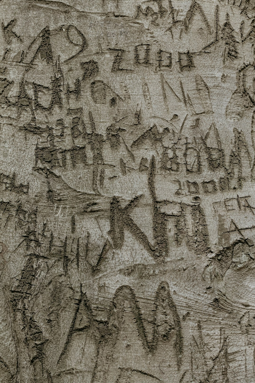 medieval script detail